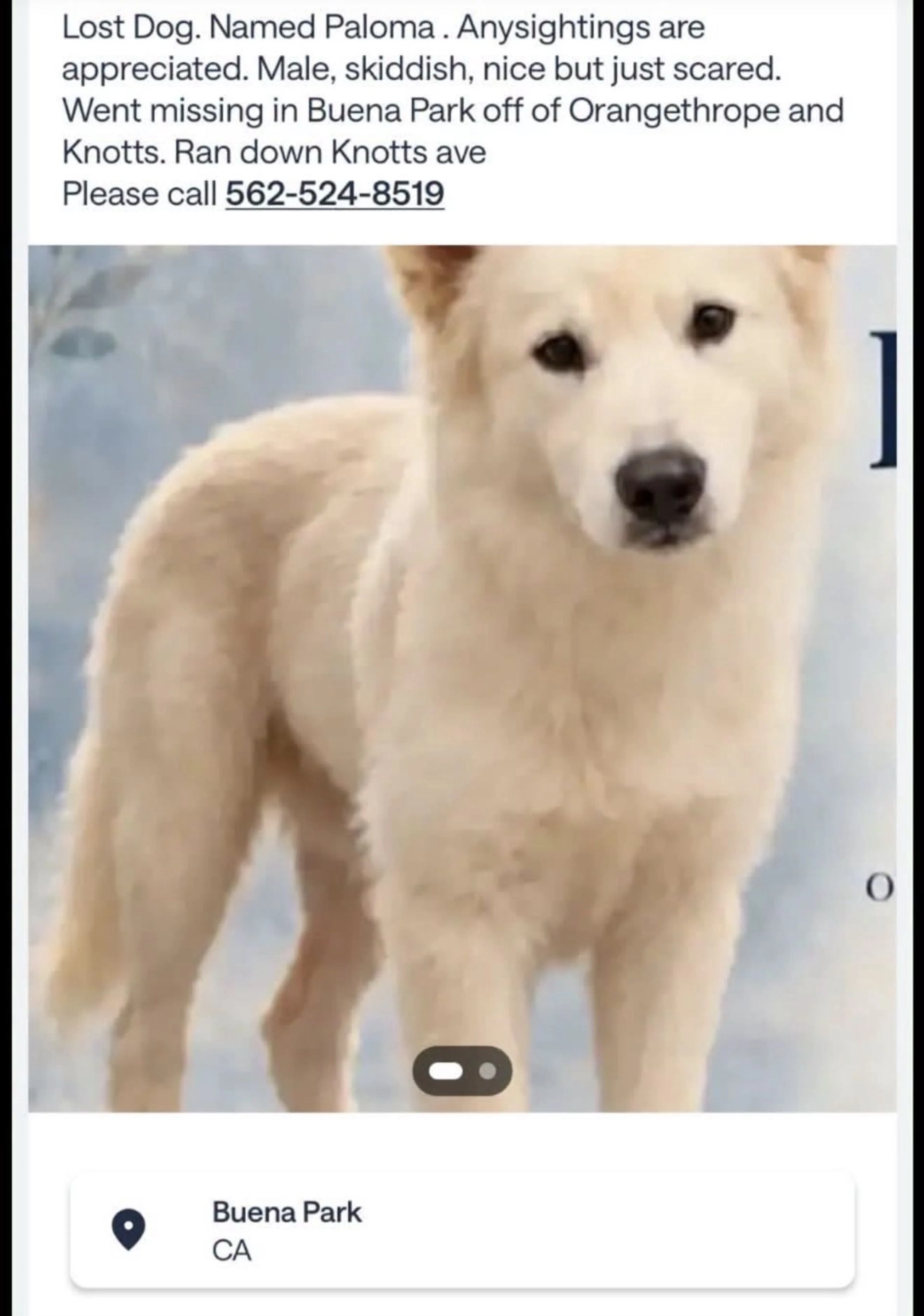 cdn image
