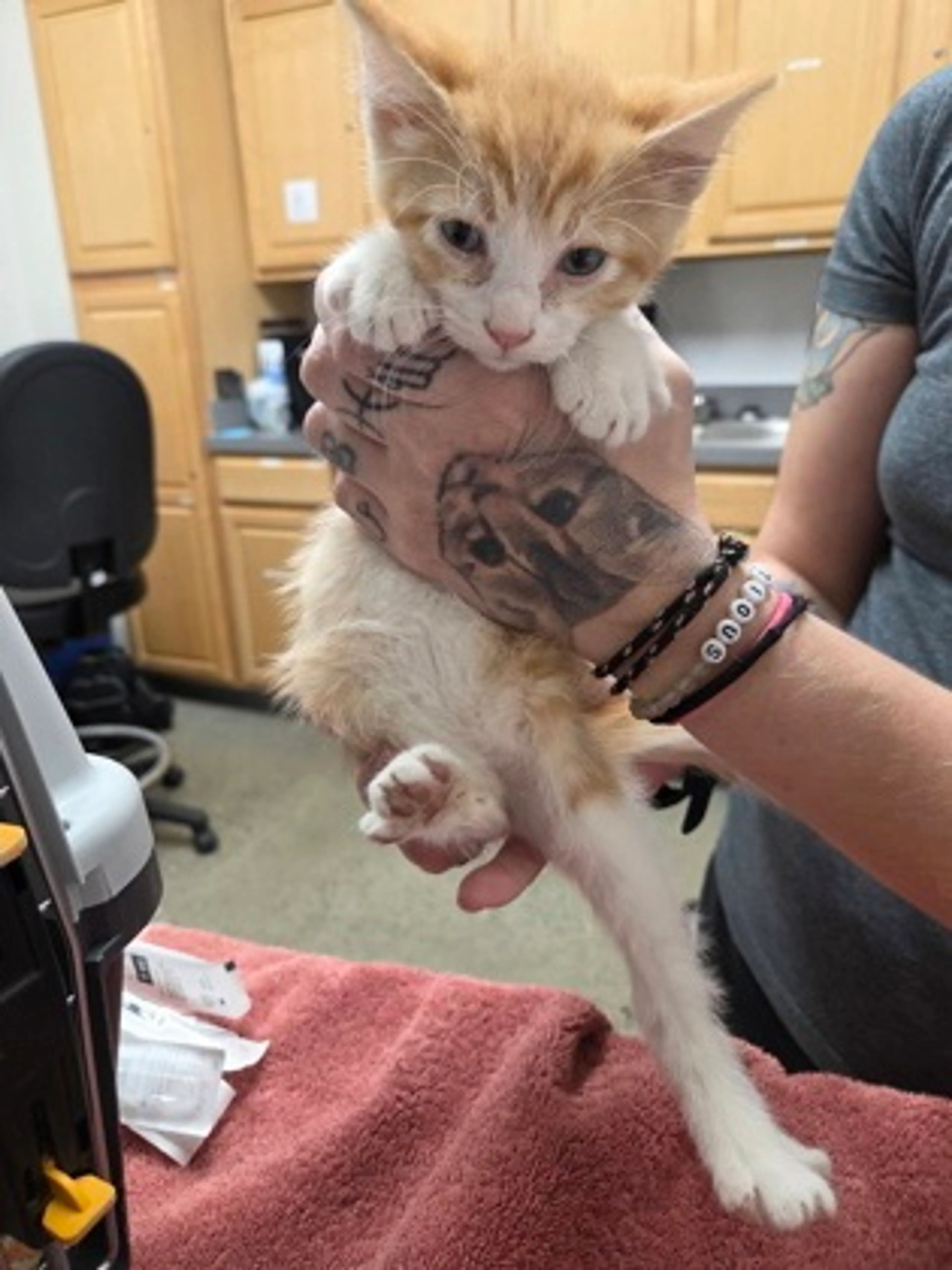 cdn image