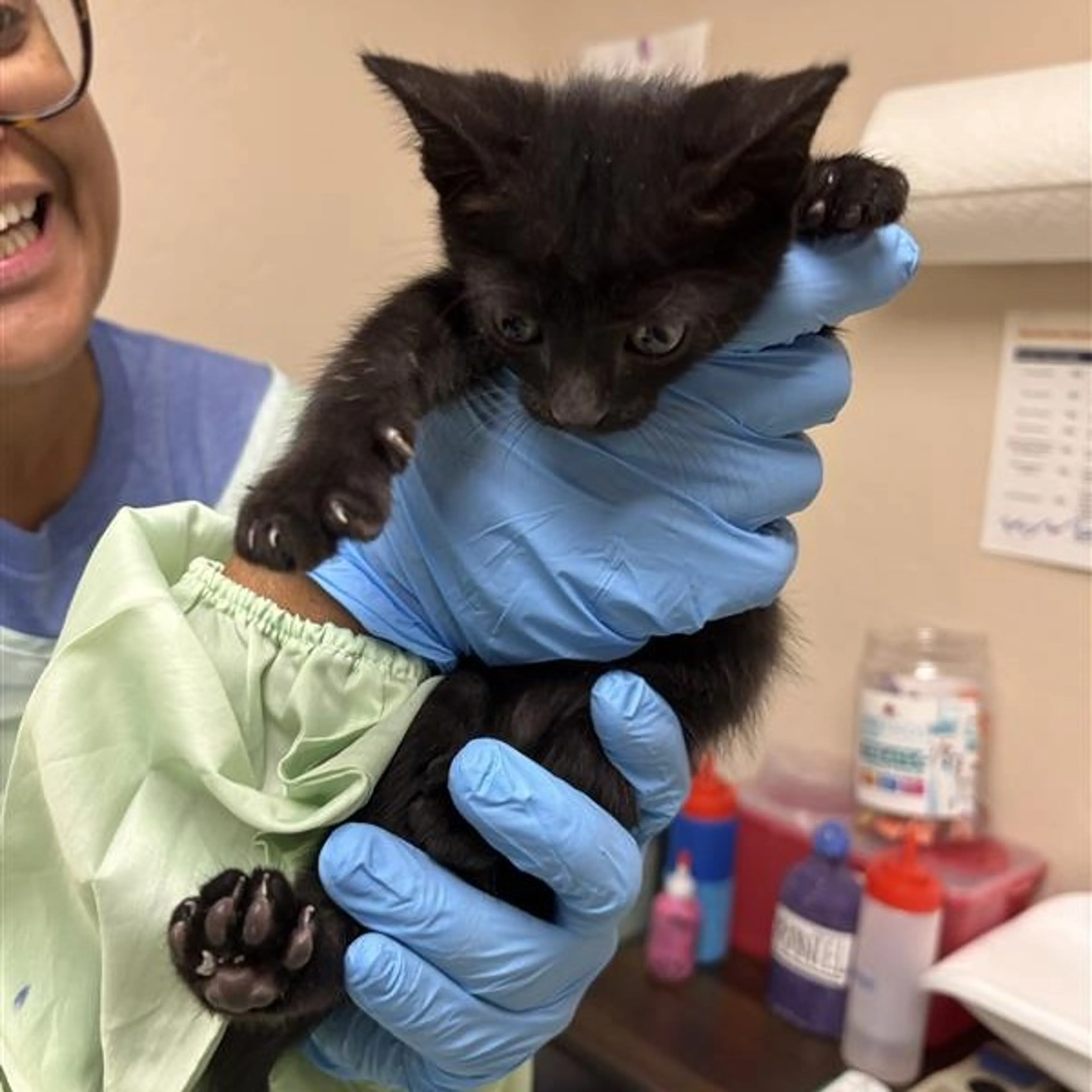cdn image