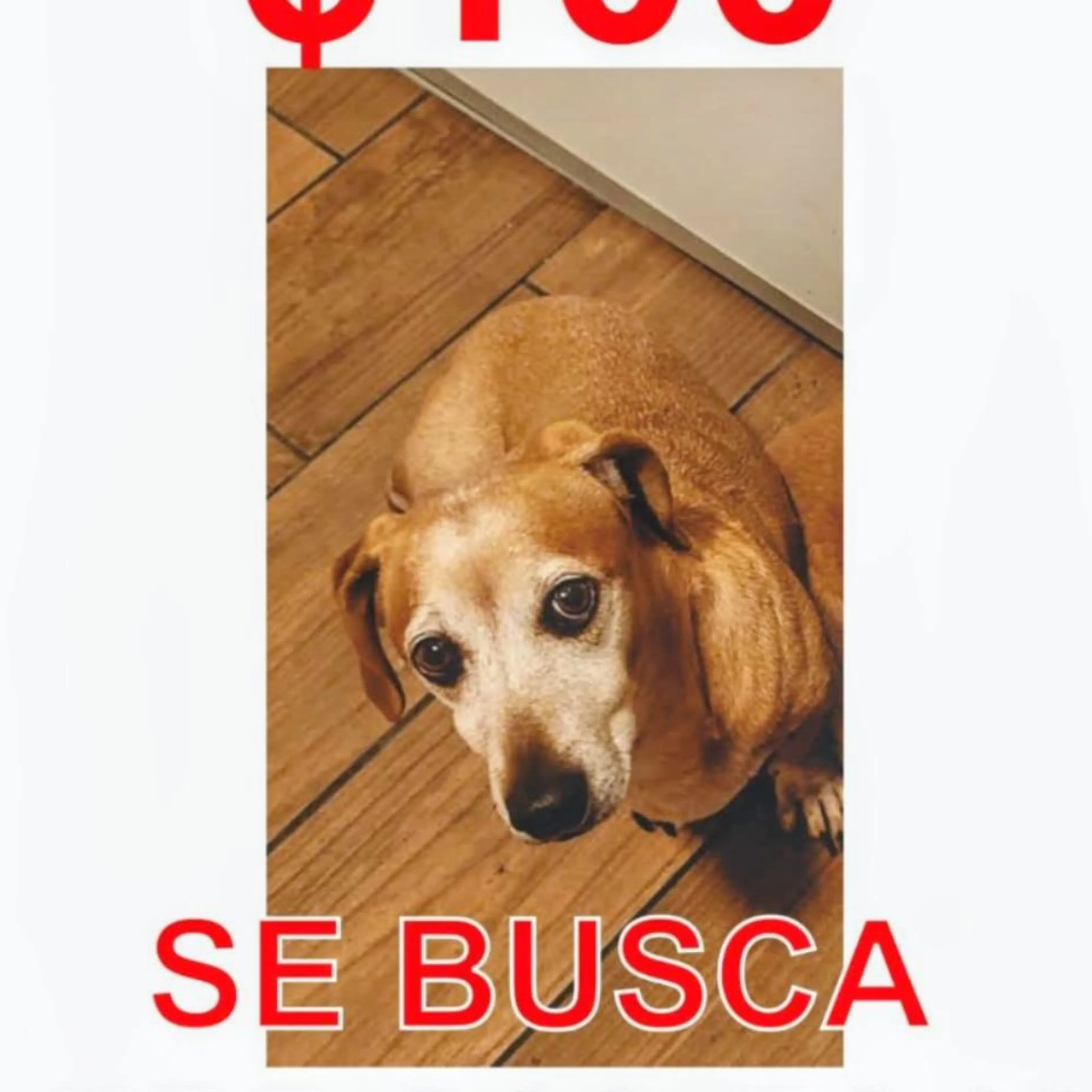cdn image