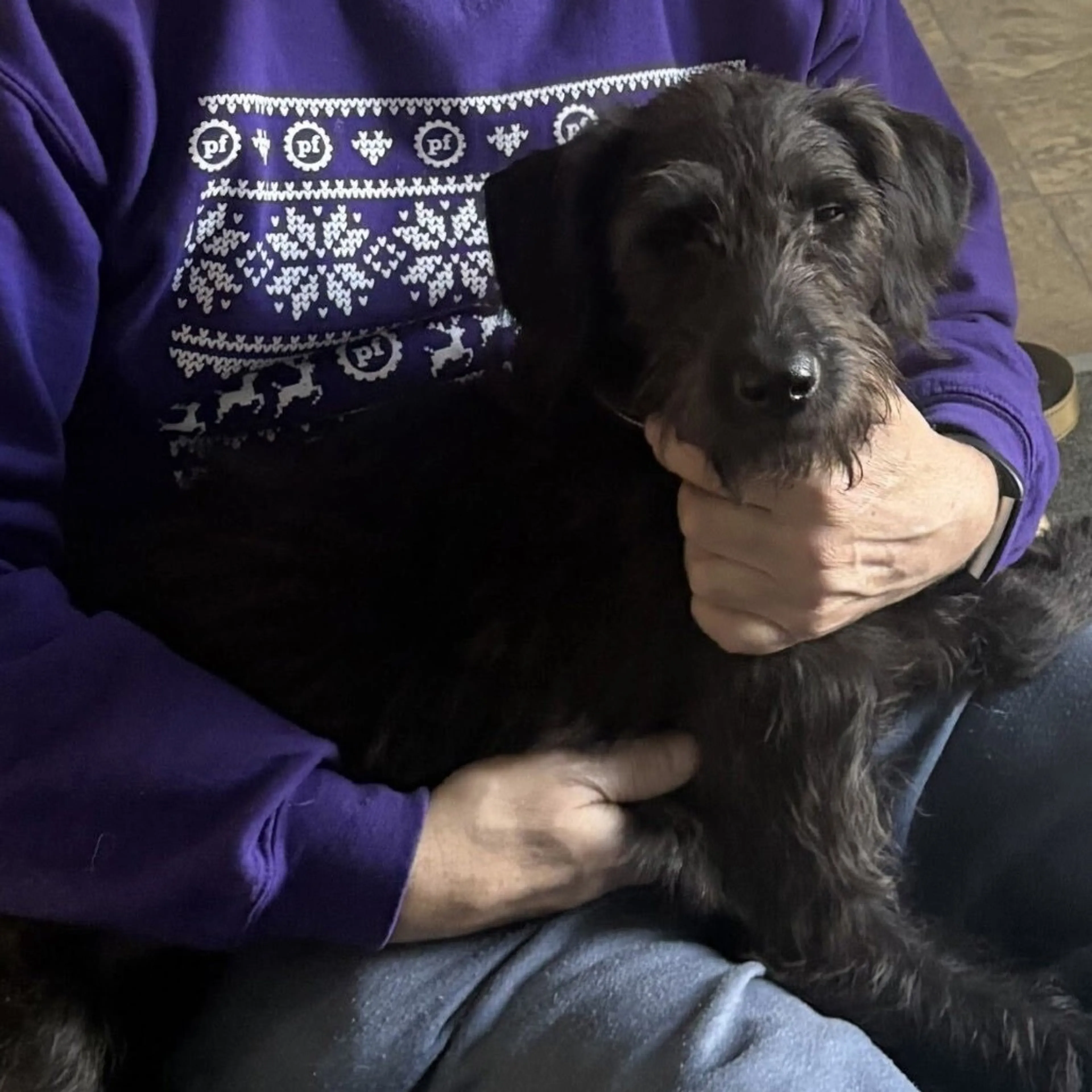 cdn image