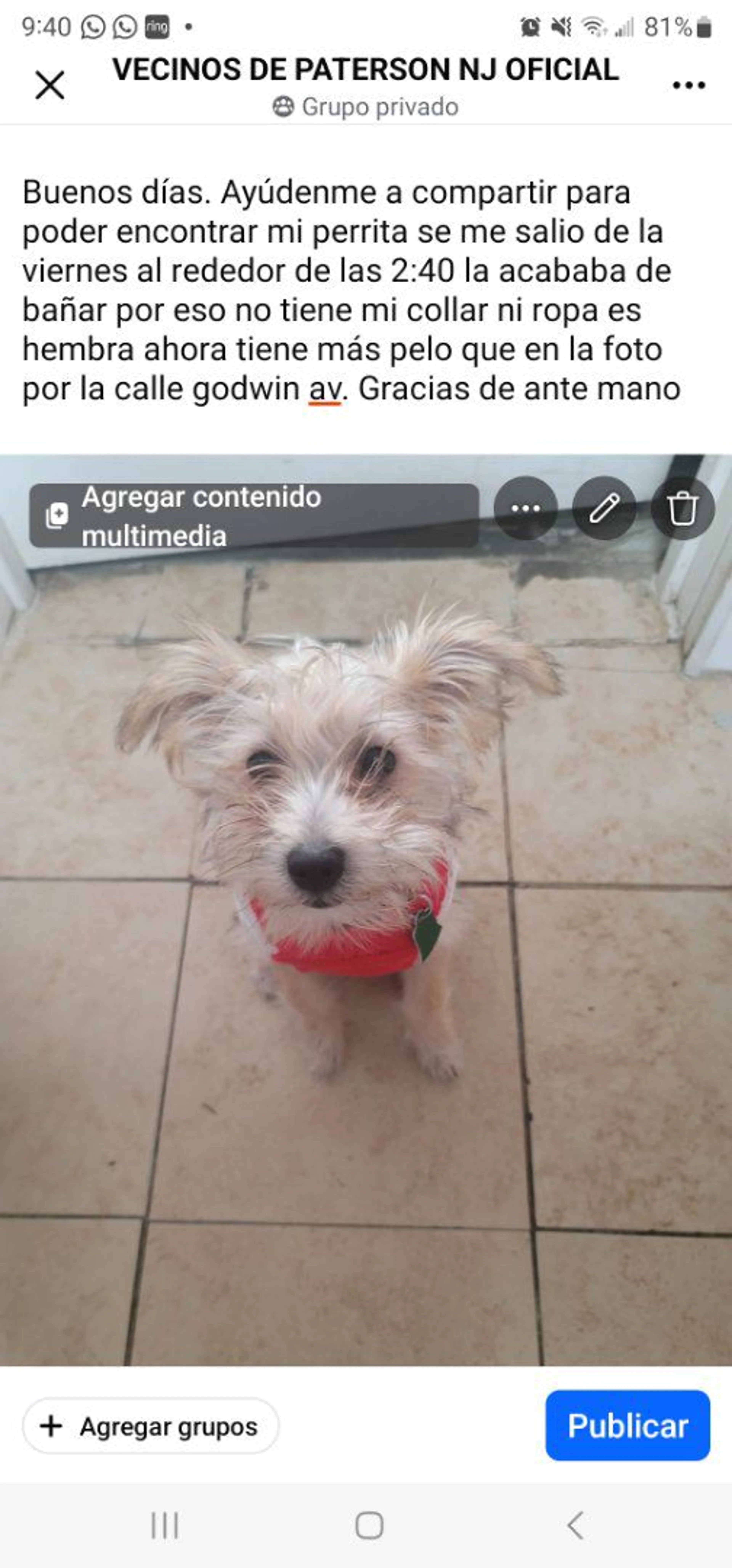 cdn image