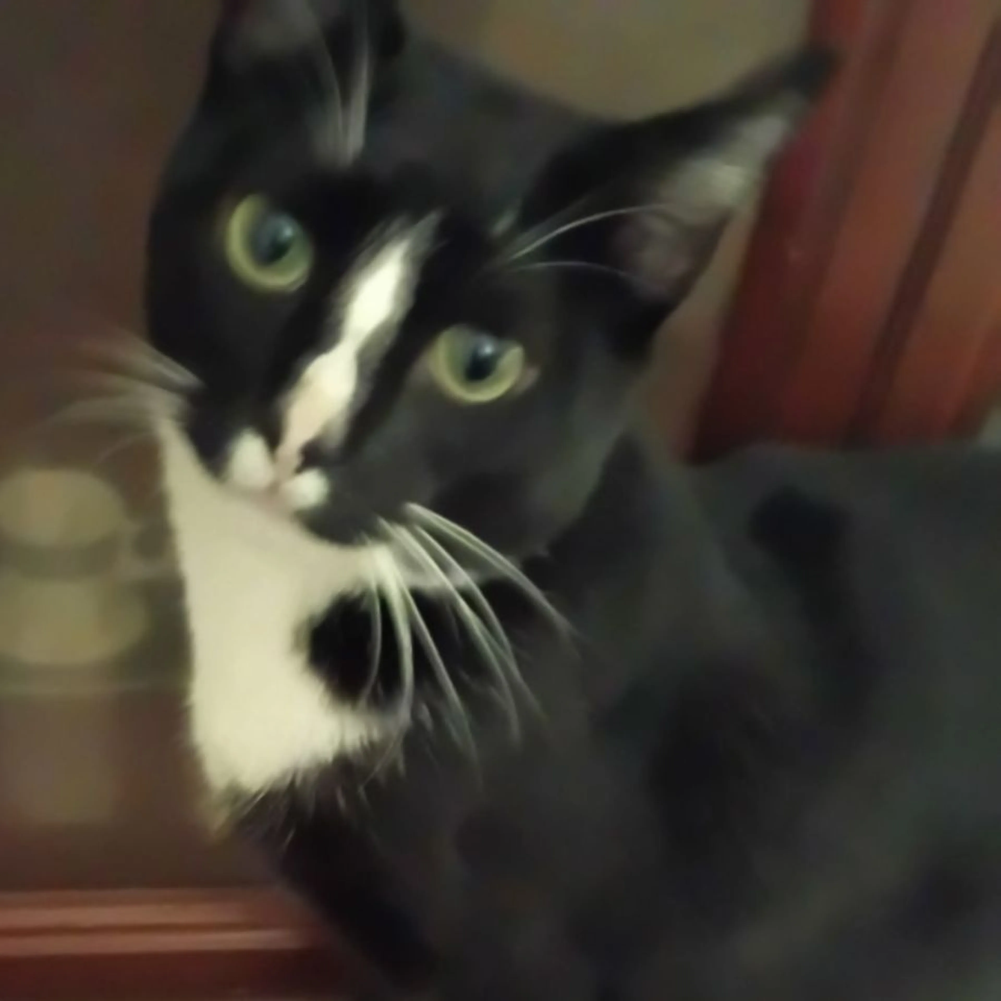 cdn image