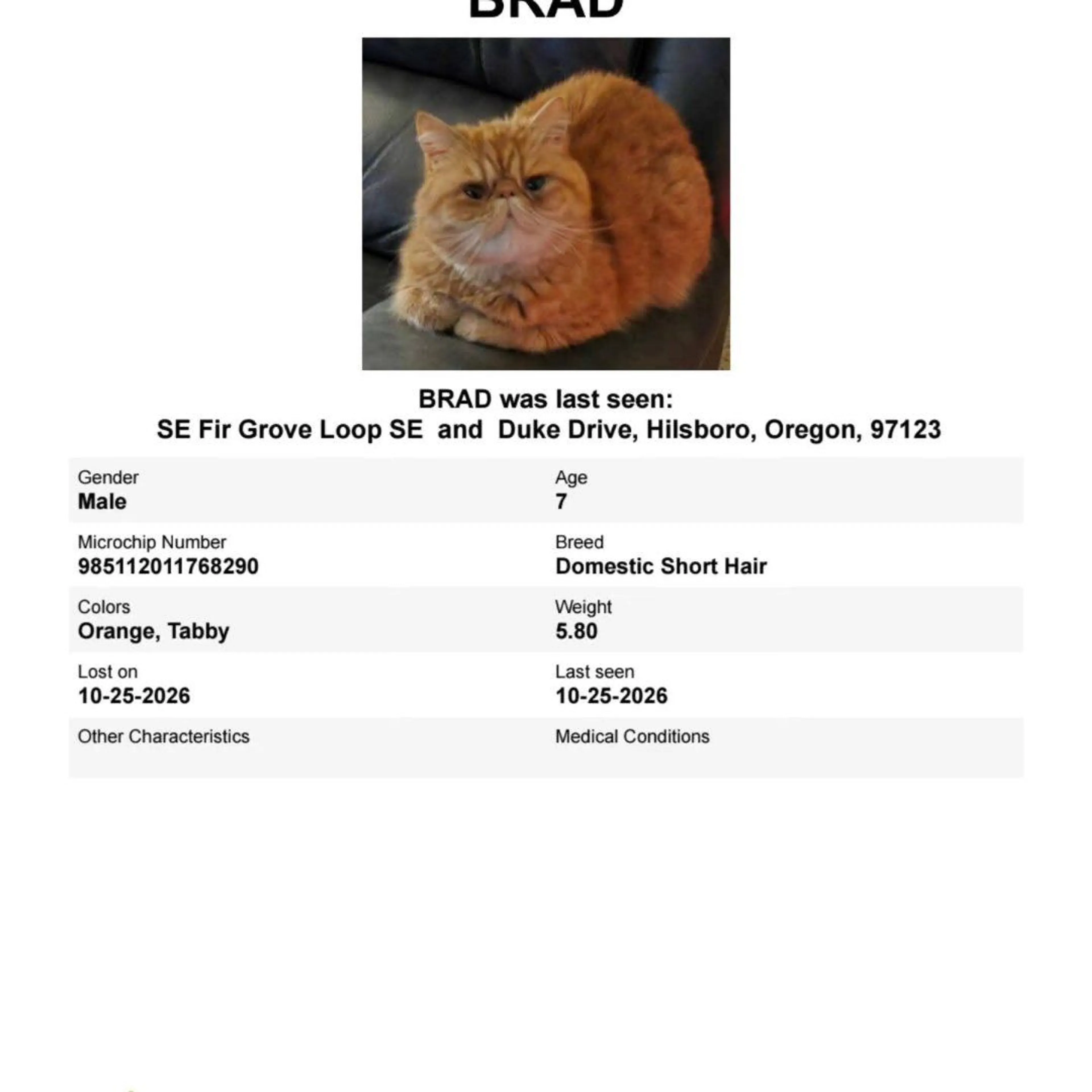 cdn image
