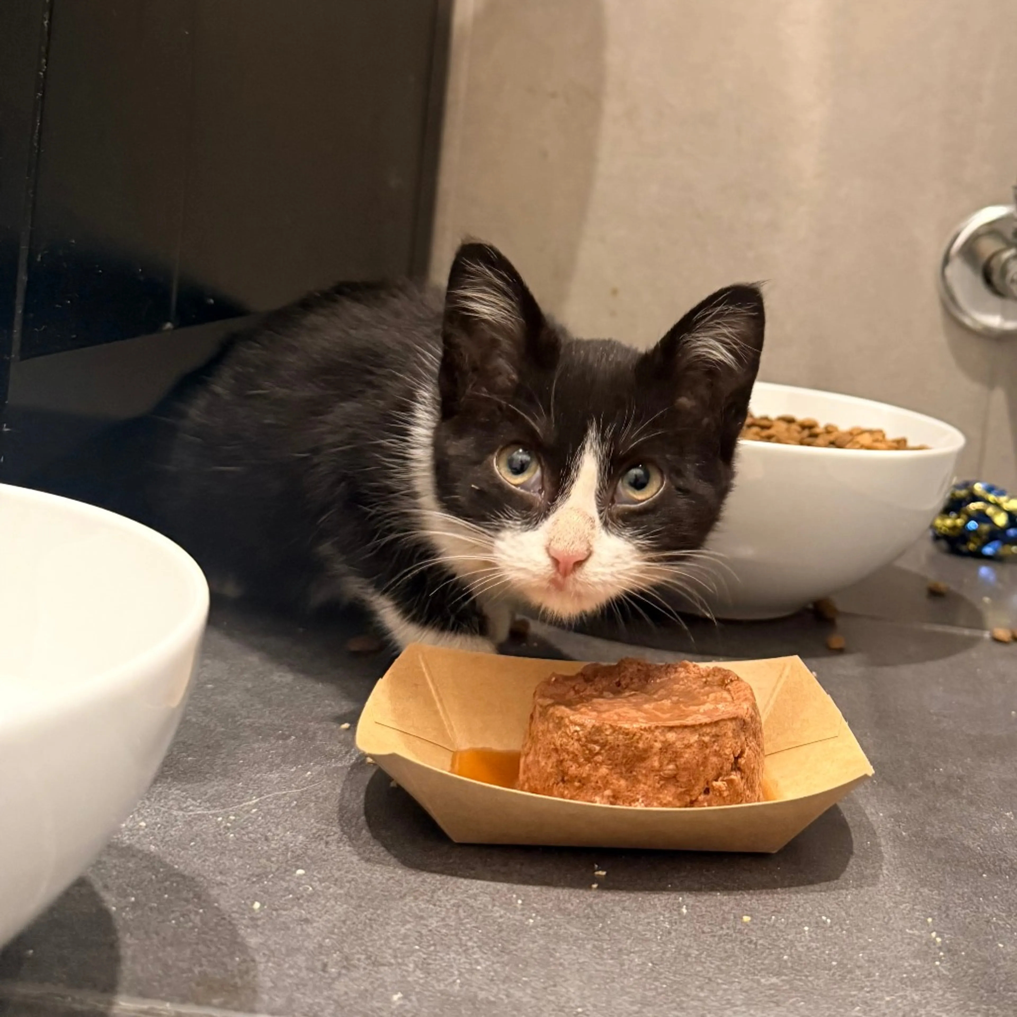 cdn image