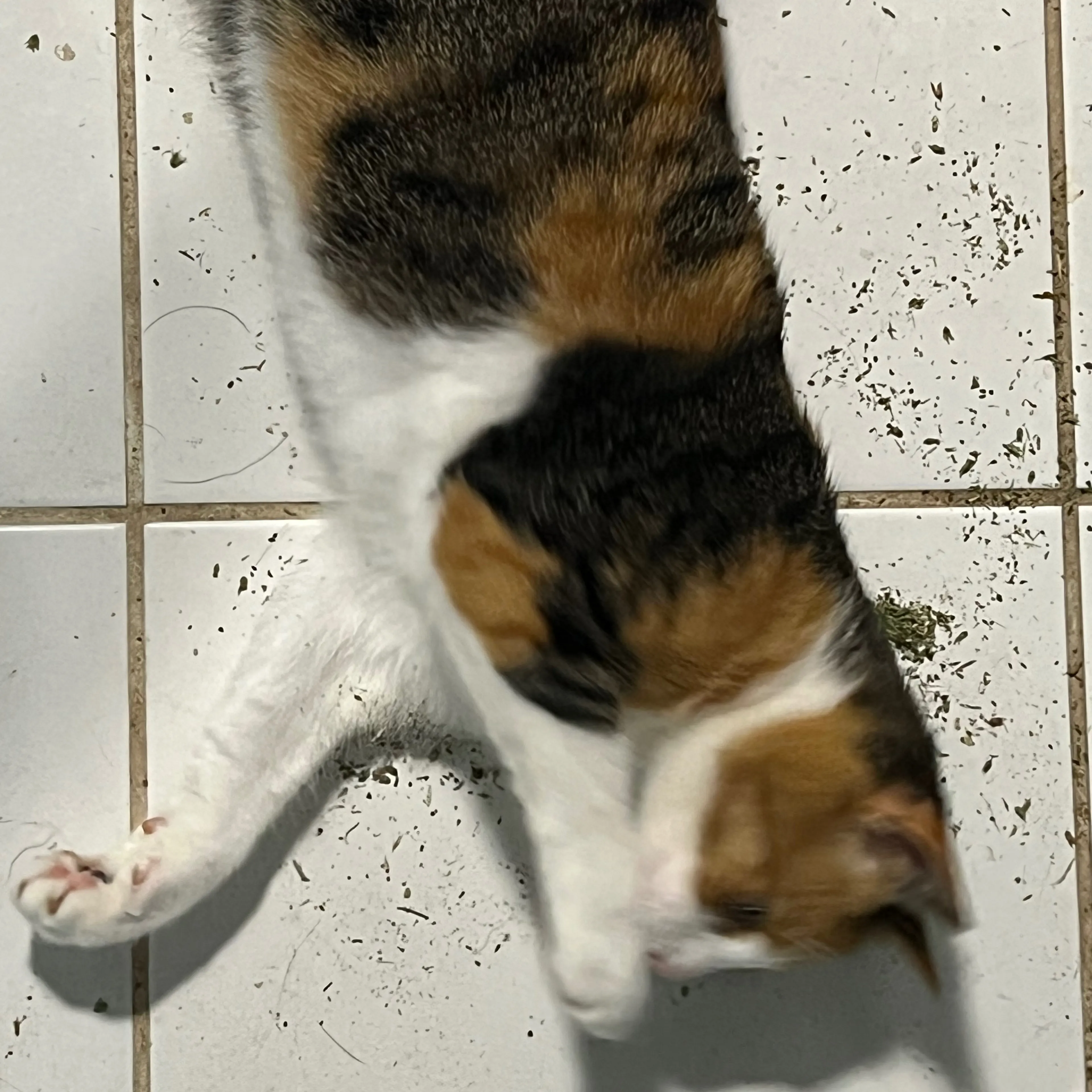 -3