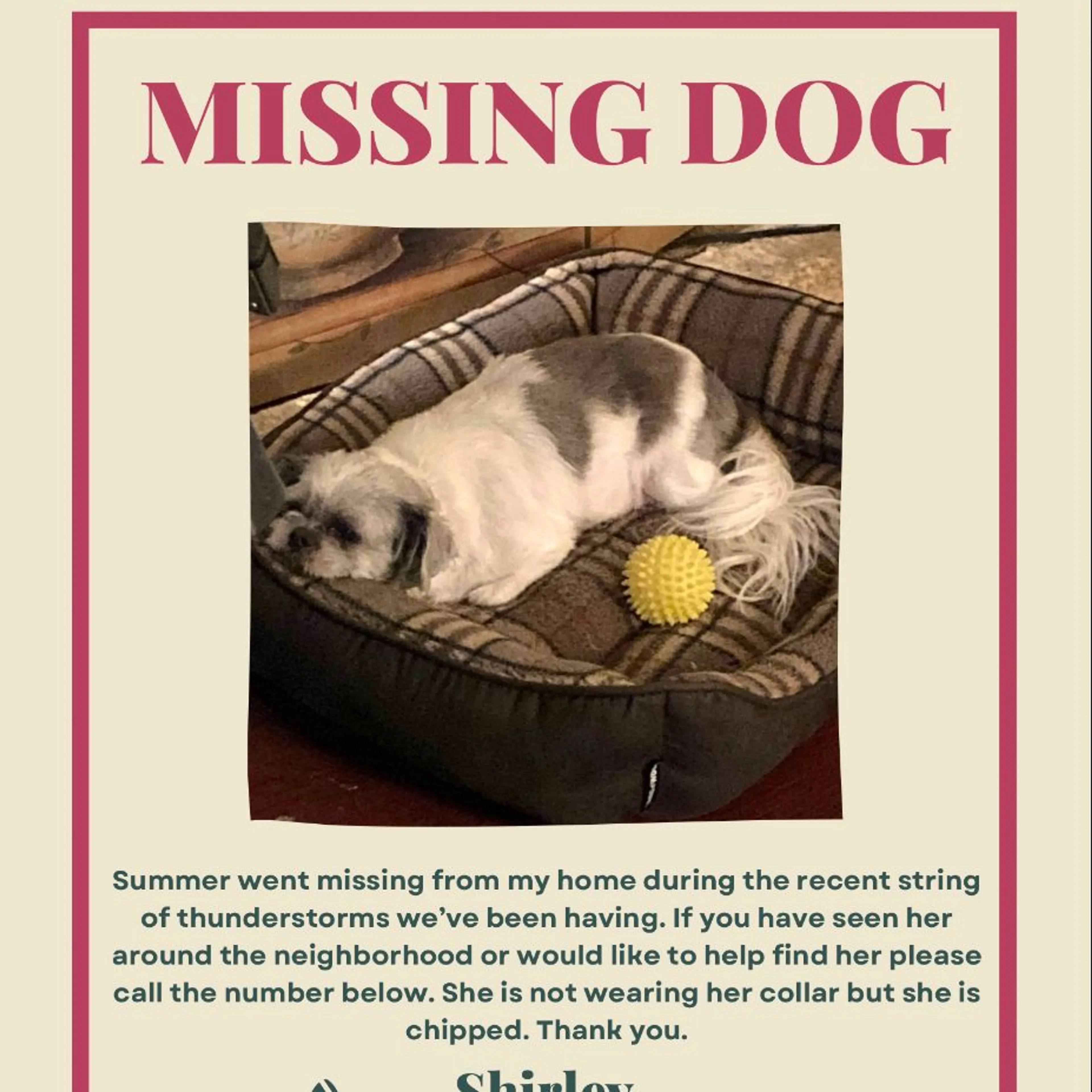 Lost pet