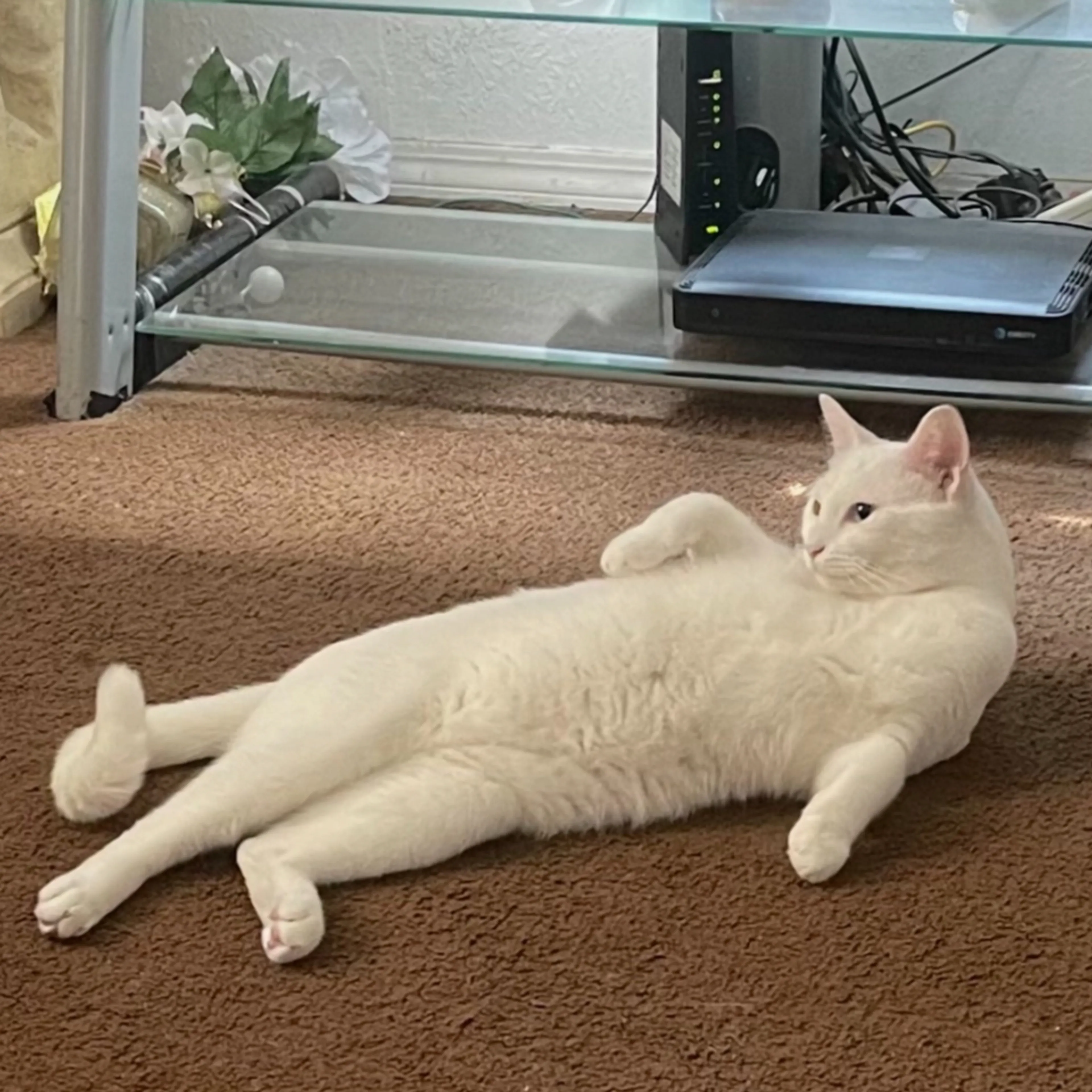 -2
