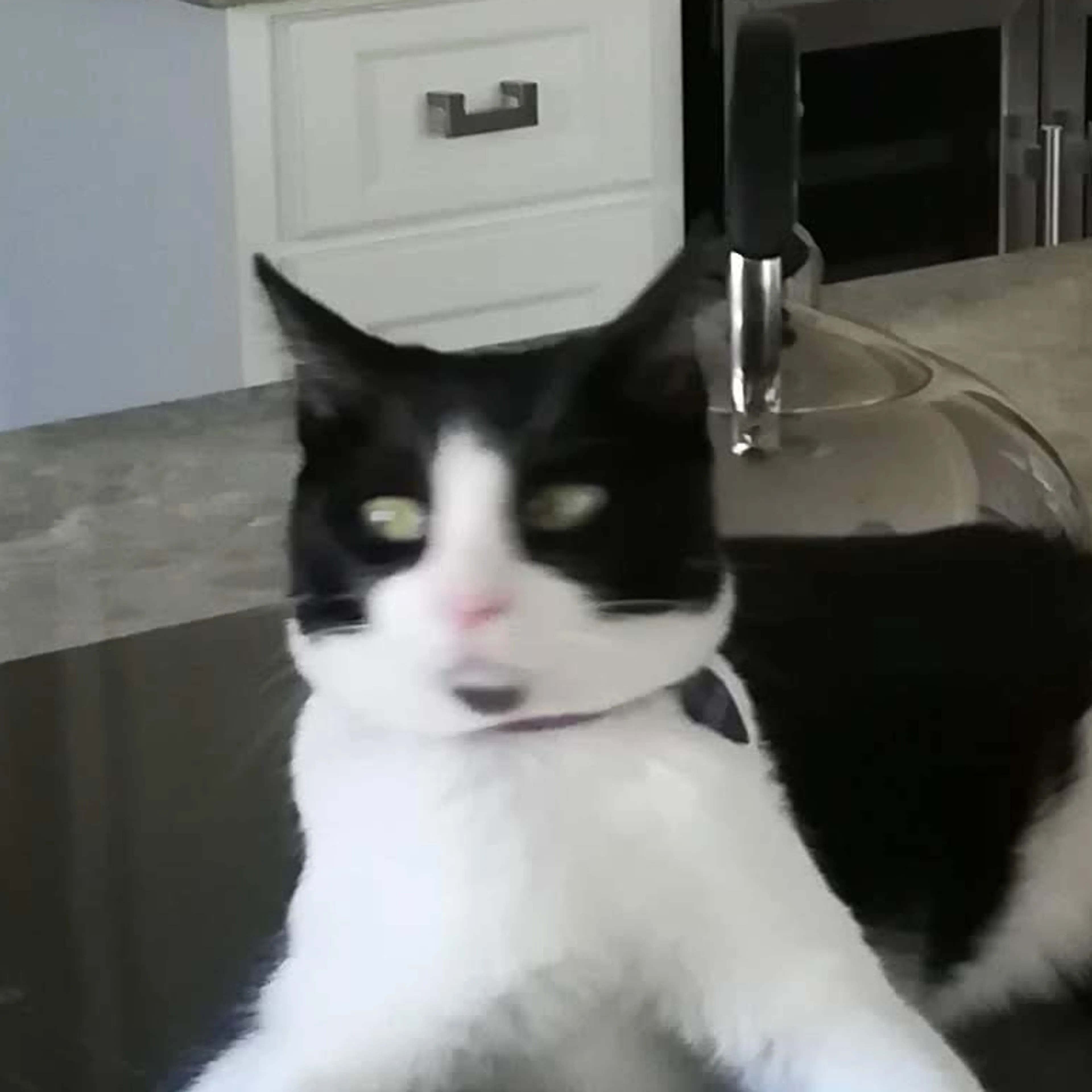 cdn image