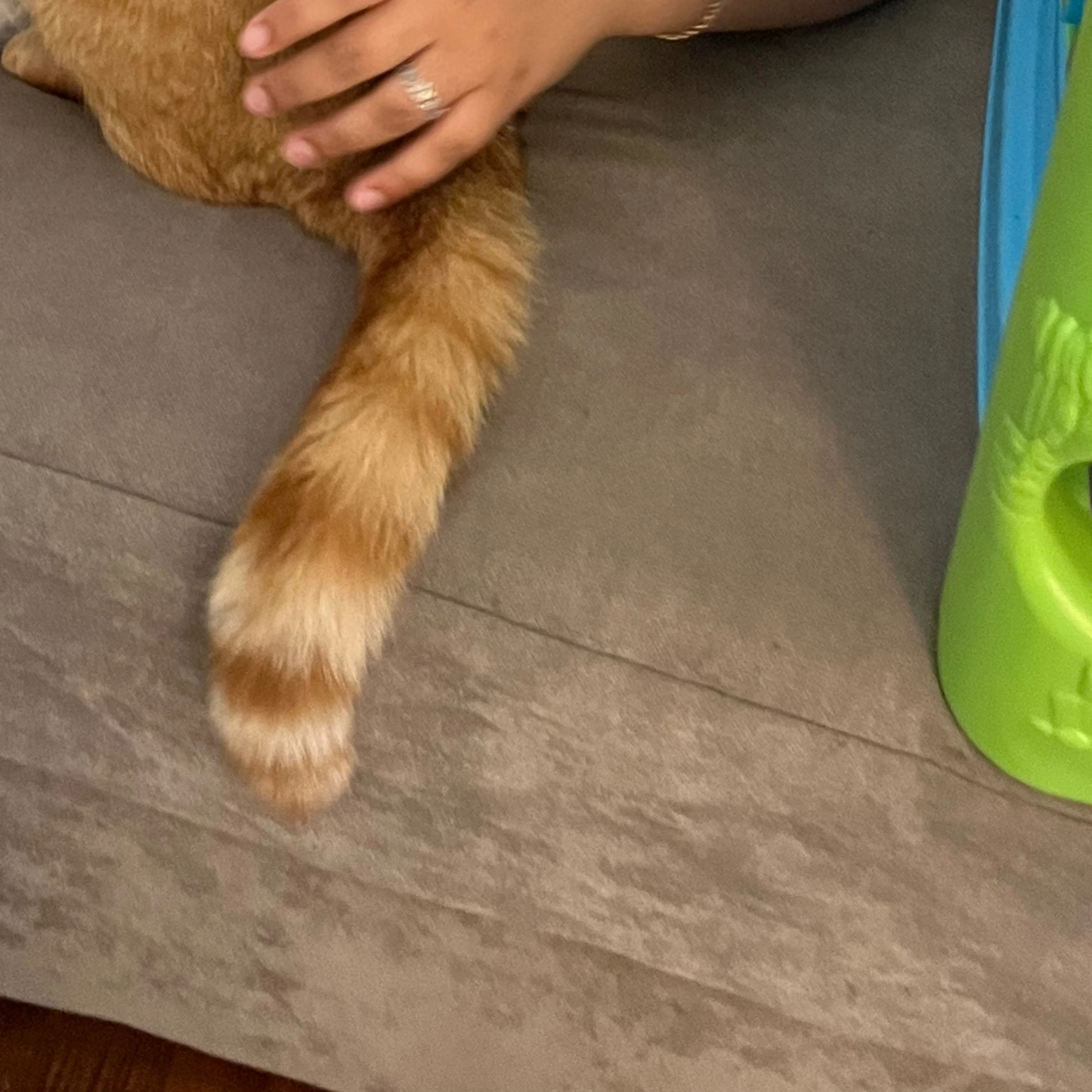 -3