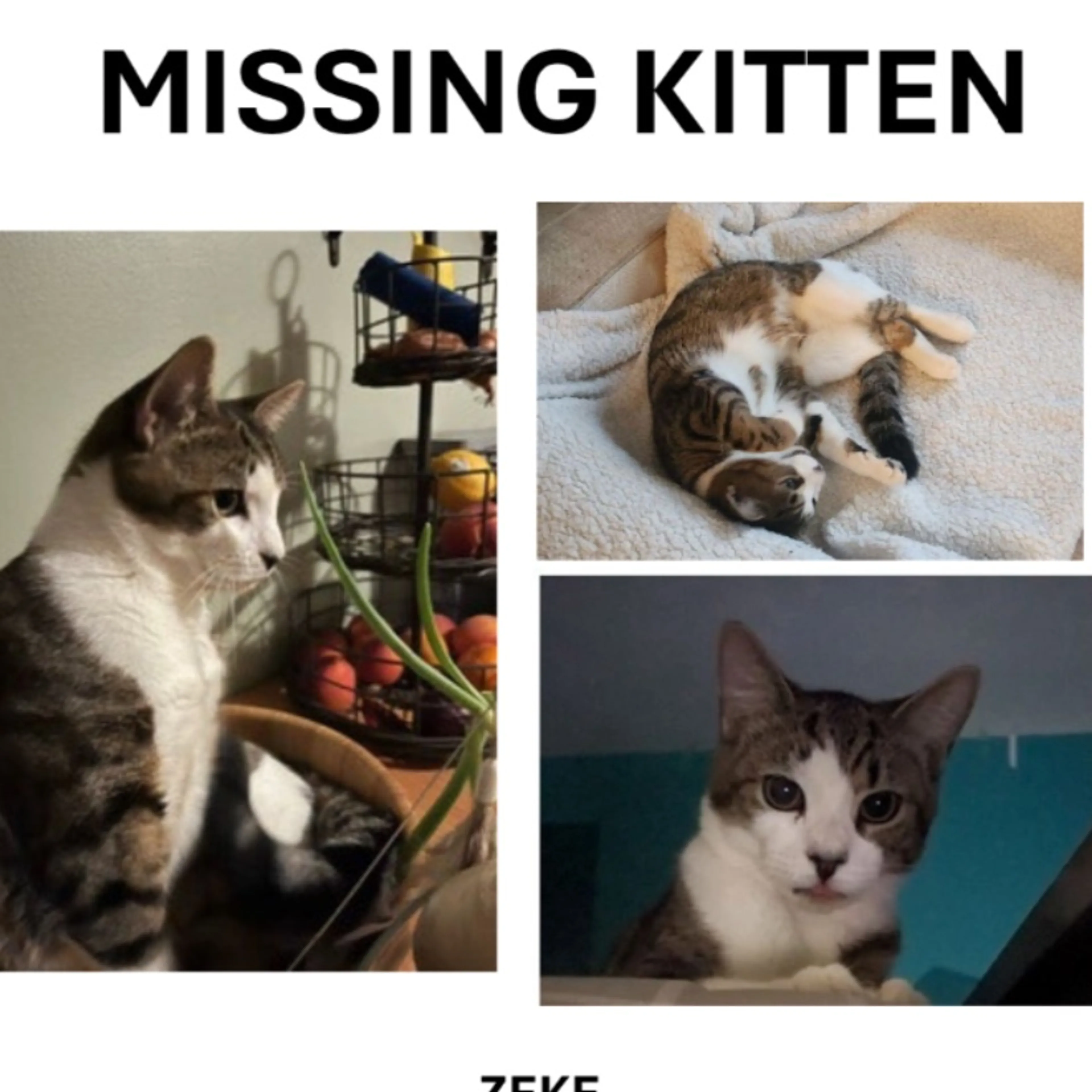 cdn image