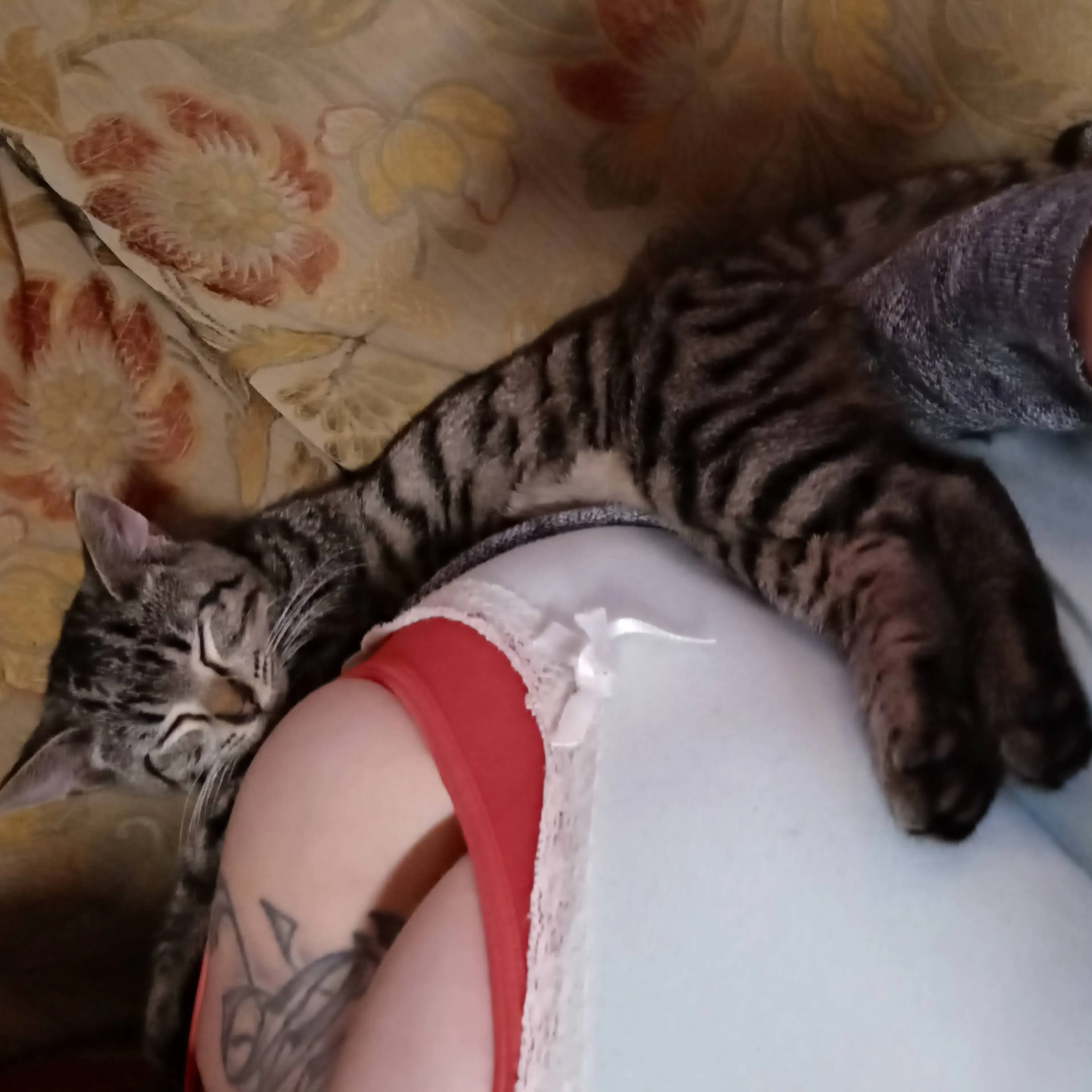 cdn image