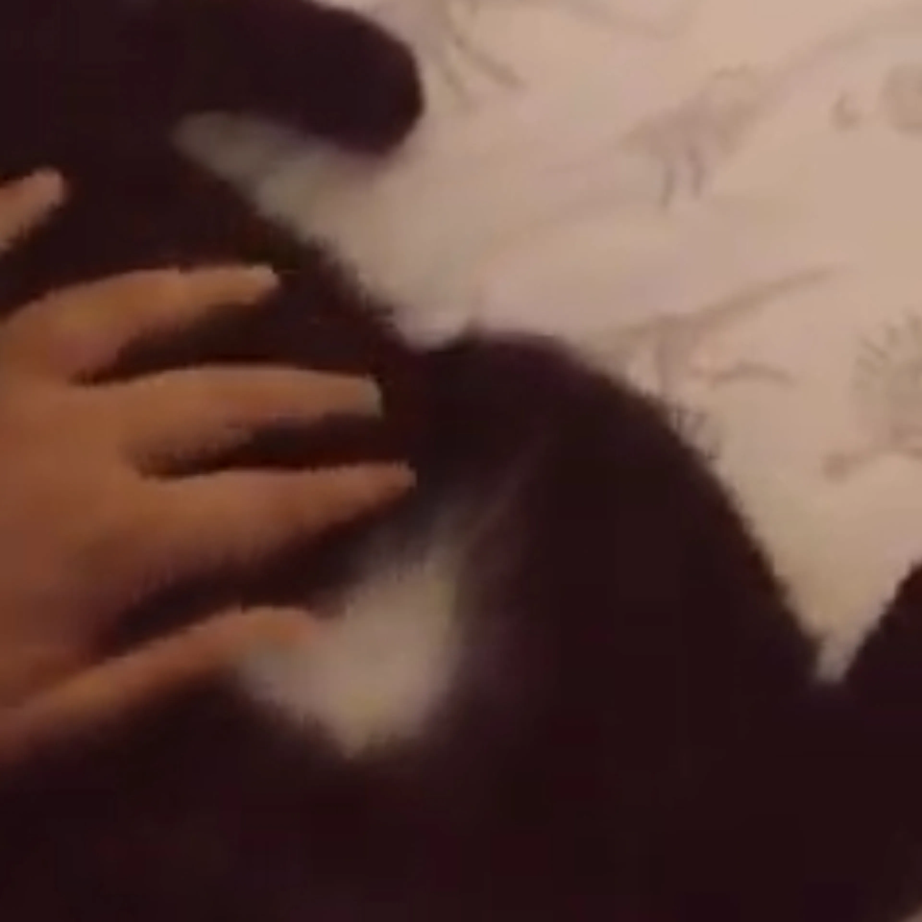 -3