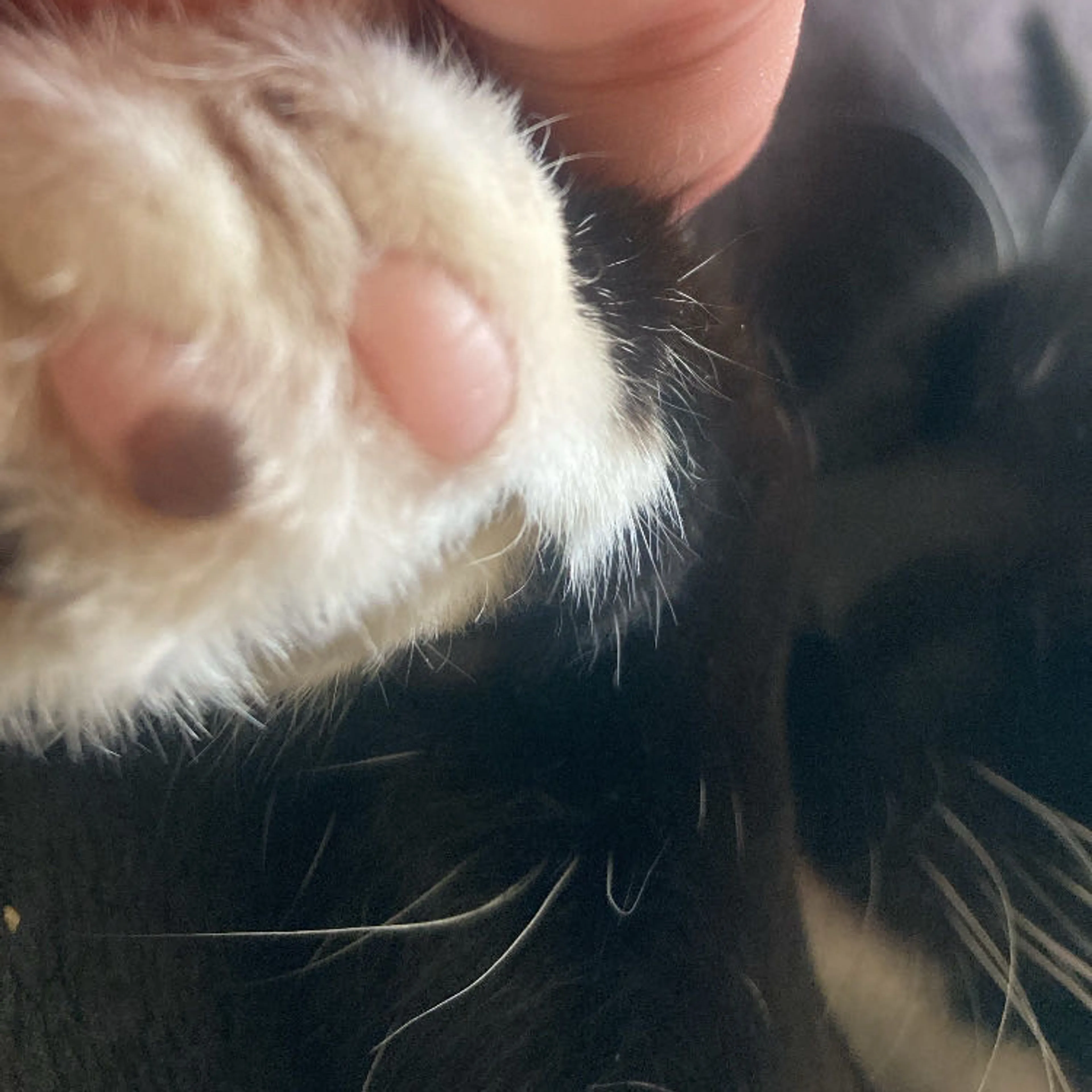 -3