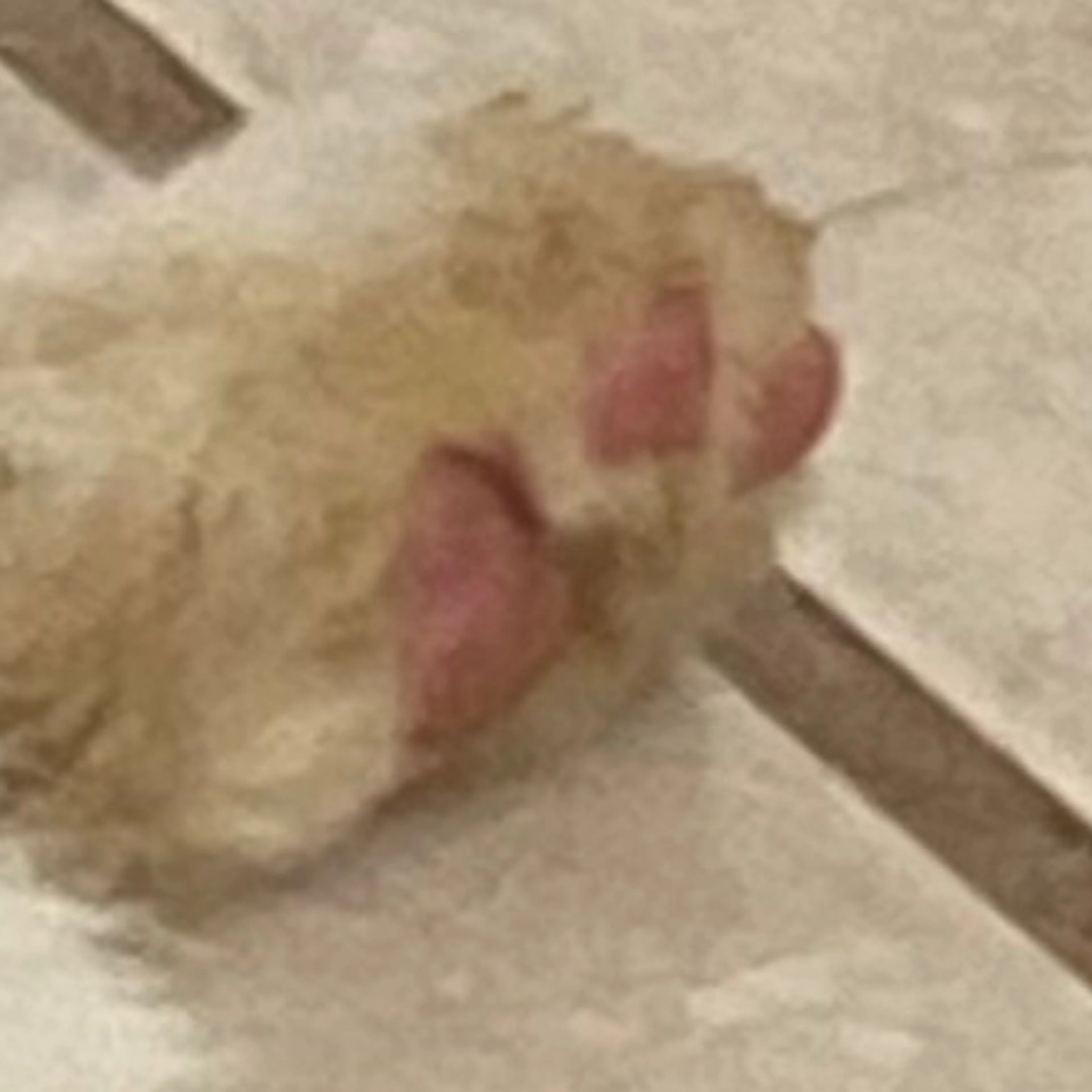 -3