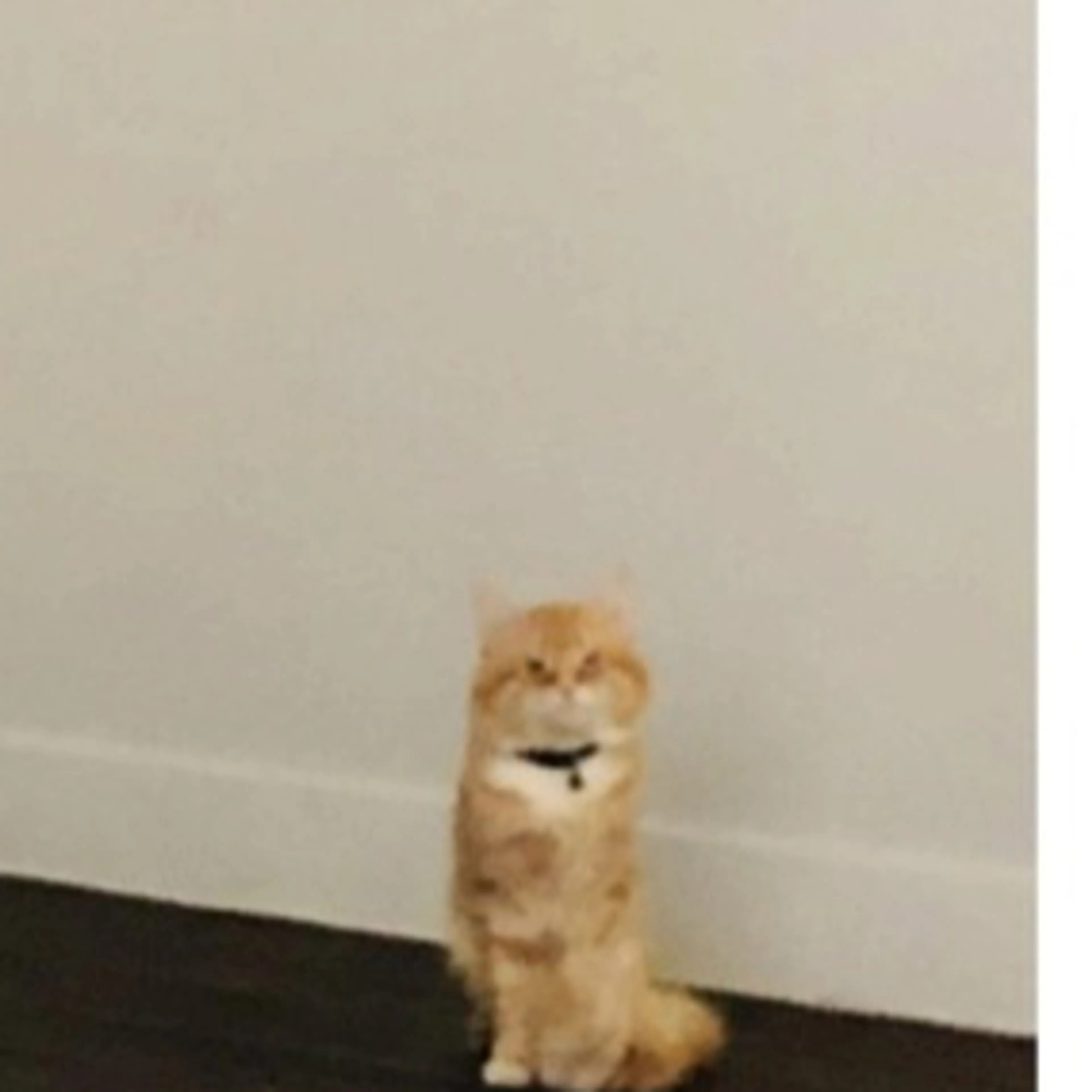 -3