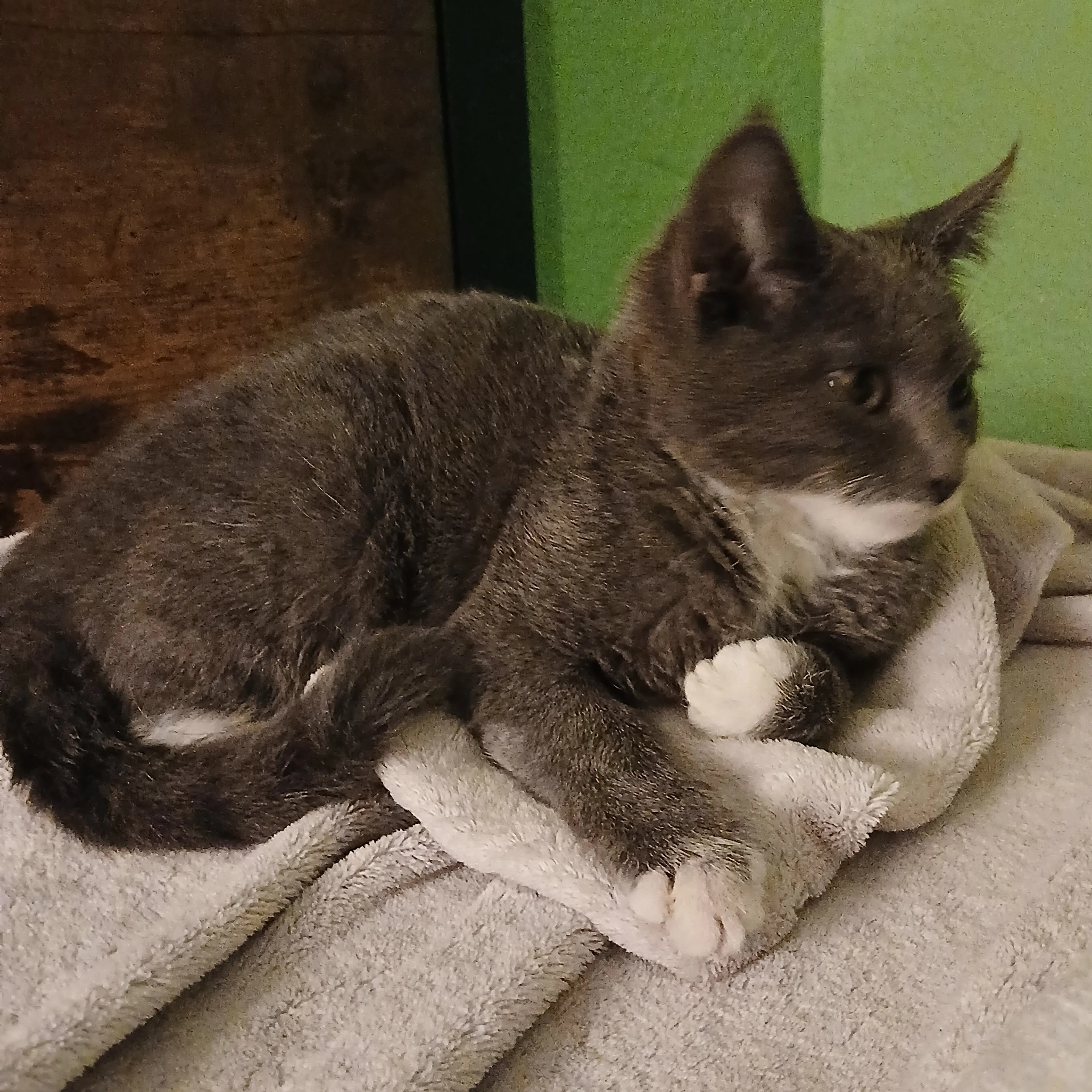 -1