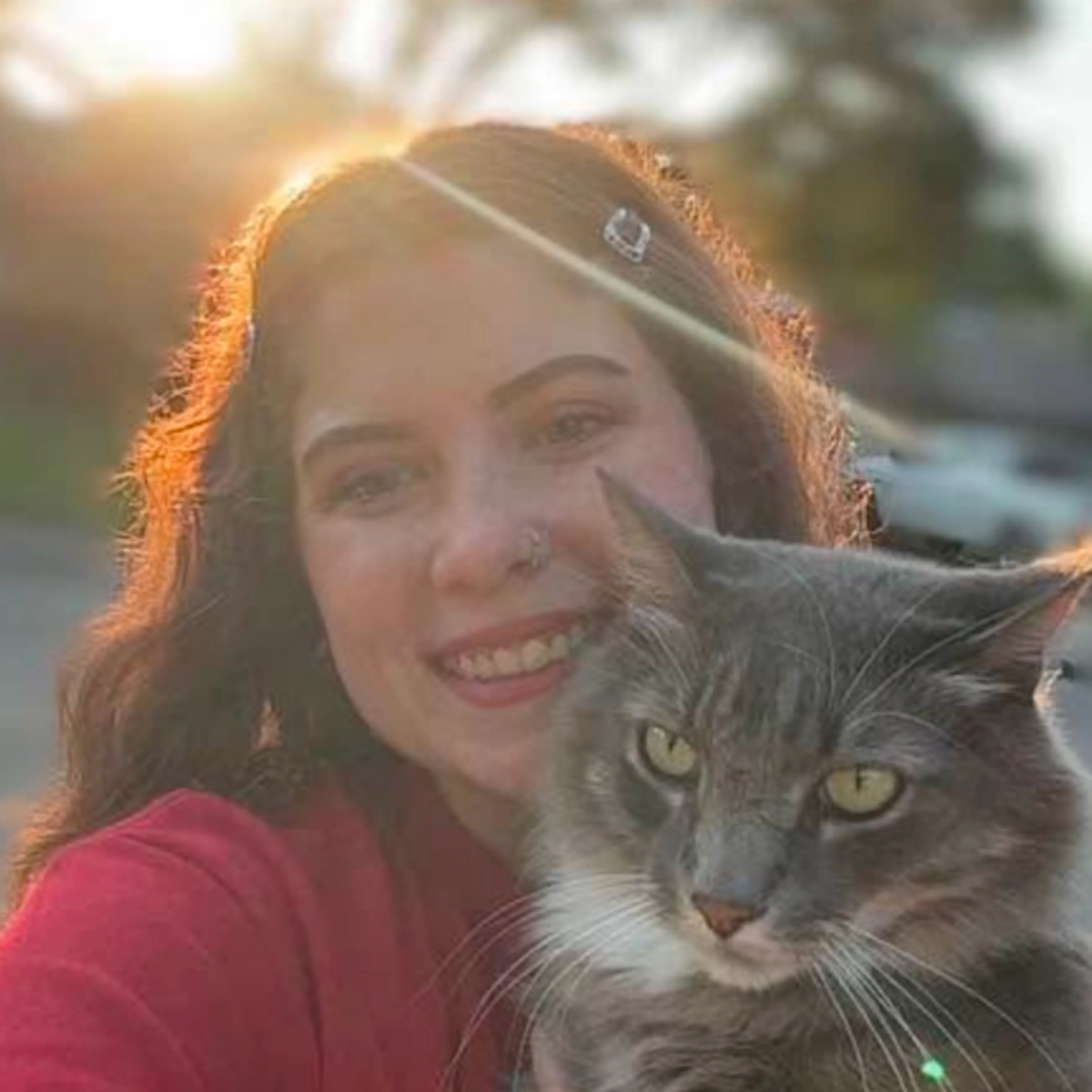 Lost pet