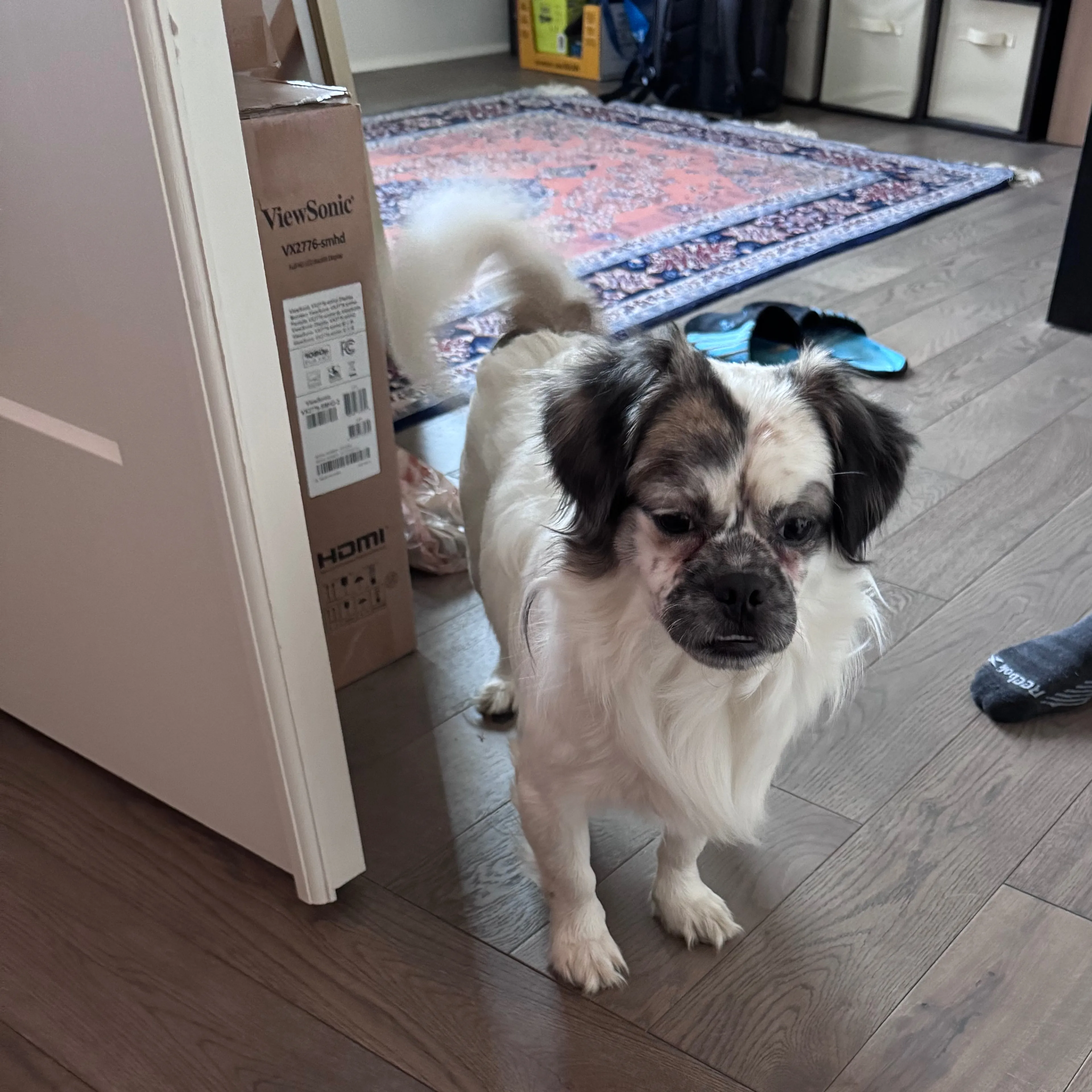 cdn image