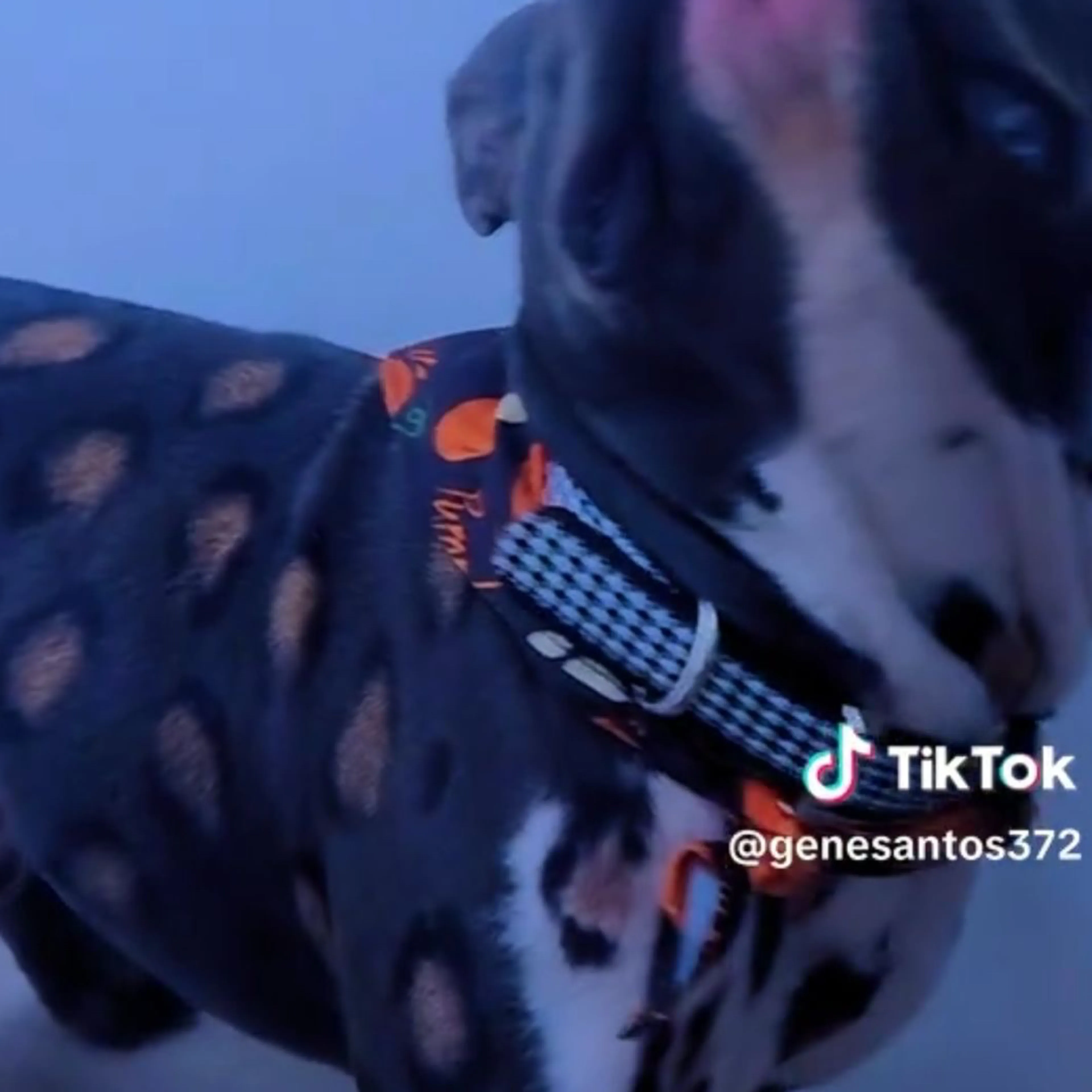 -3