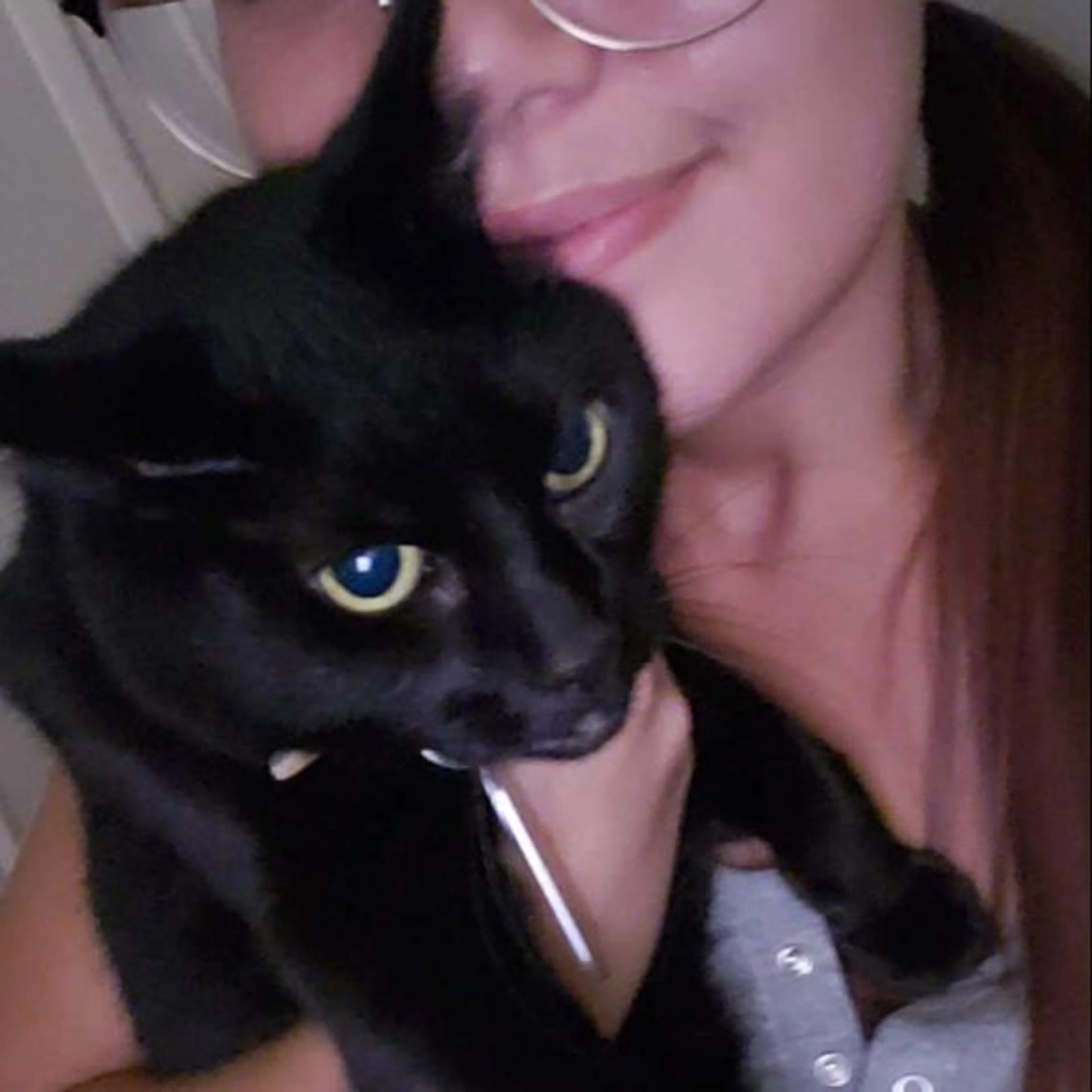 Lost pet