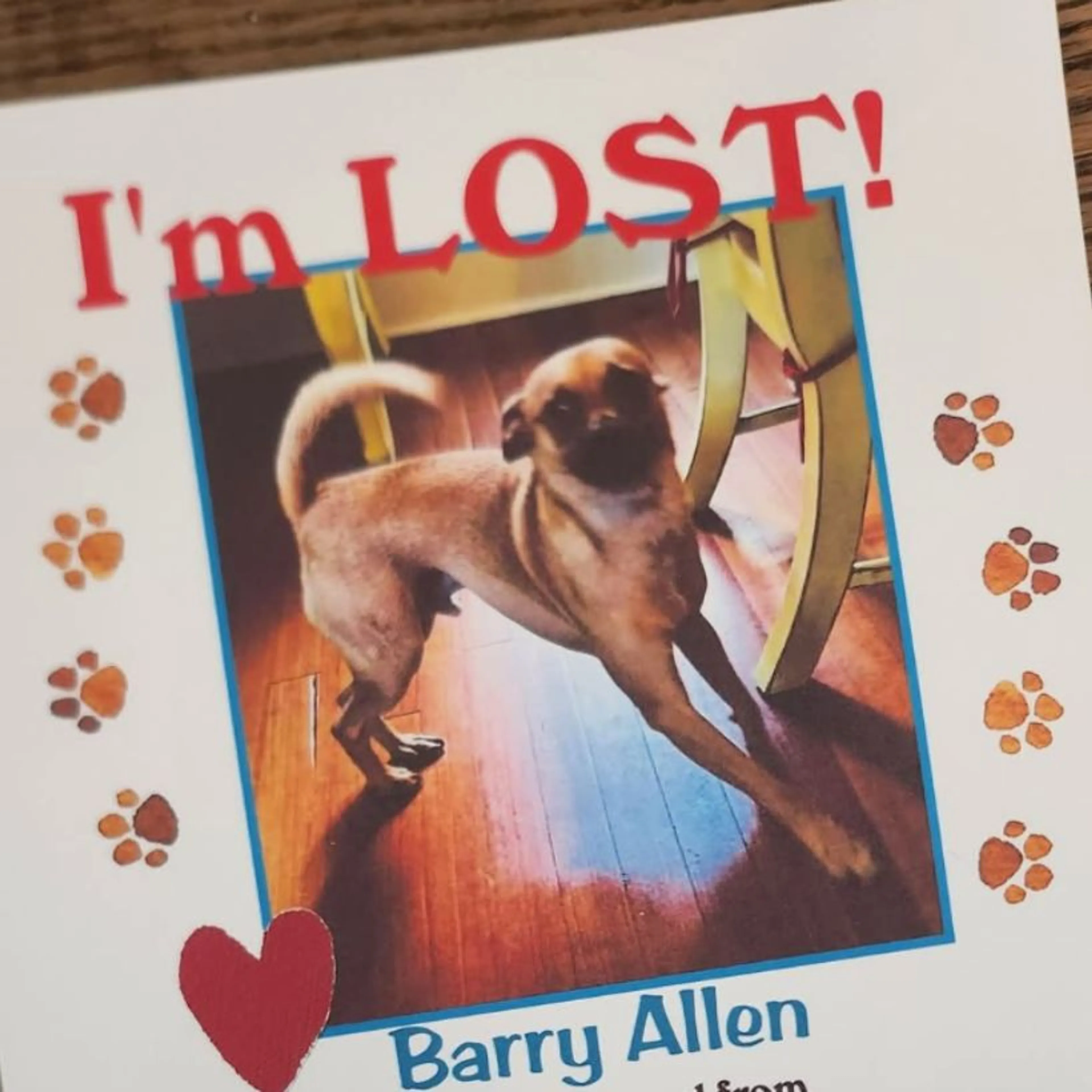 Lost pet