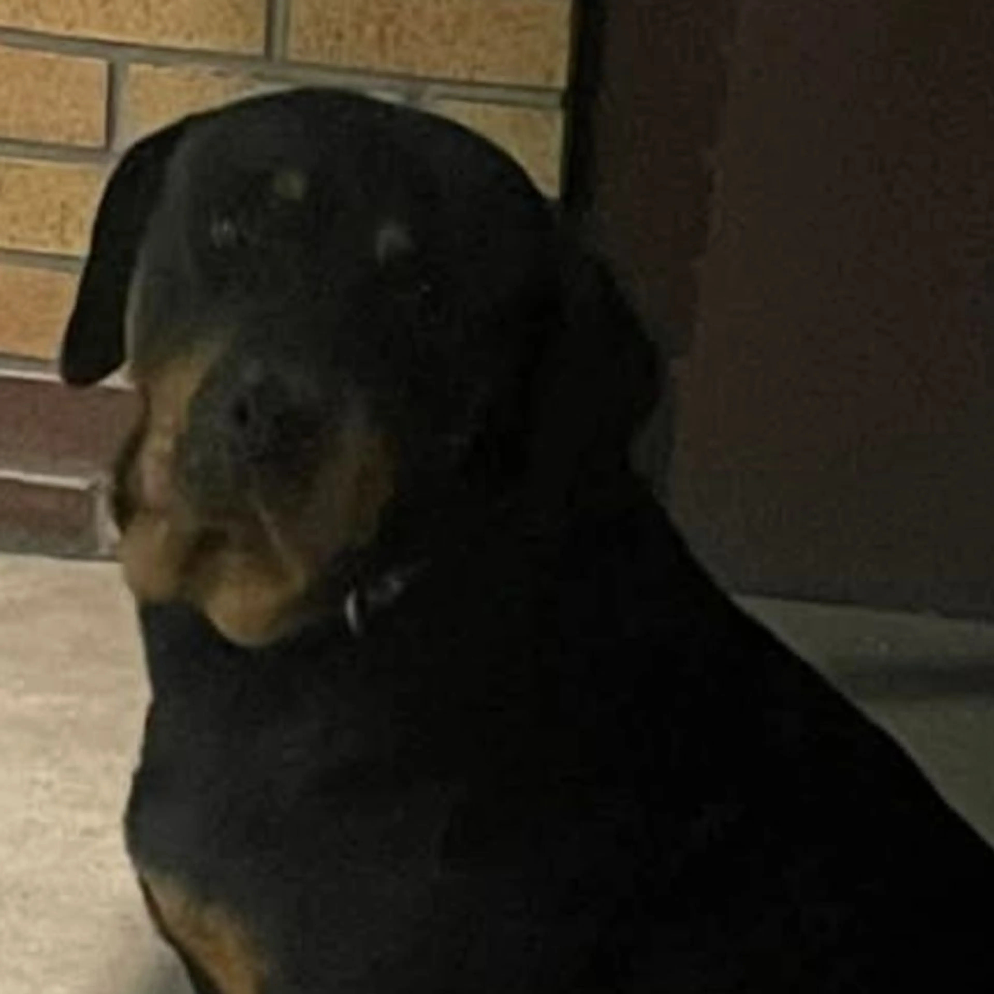 cdn image