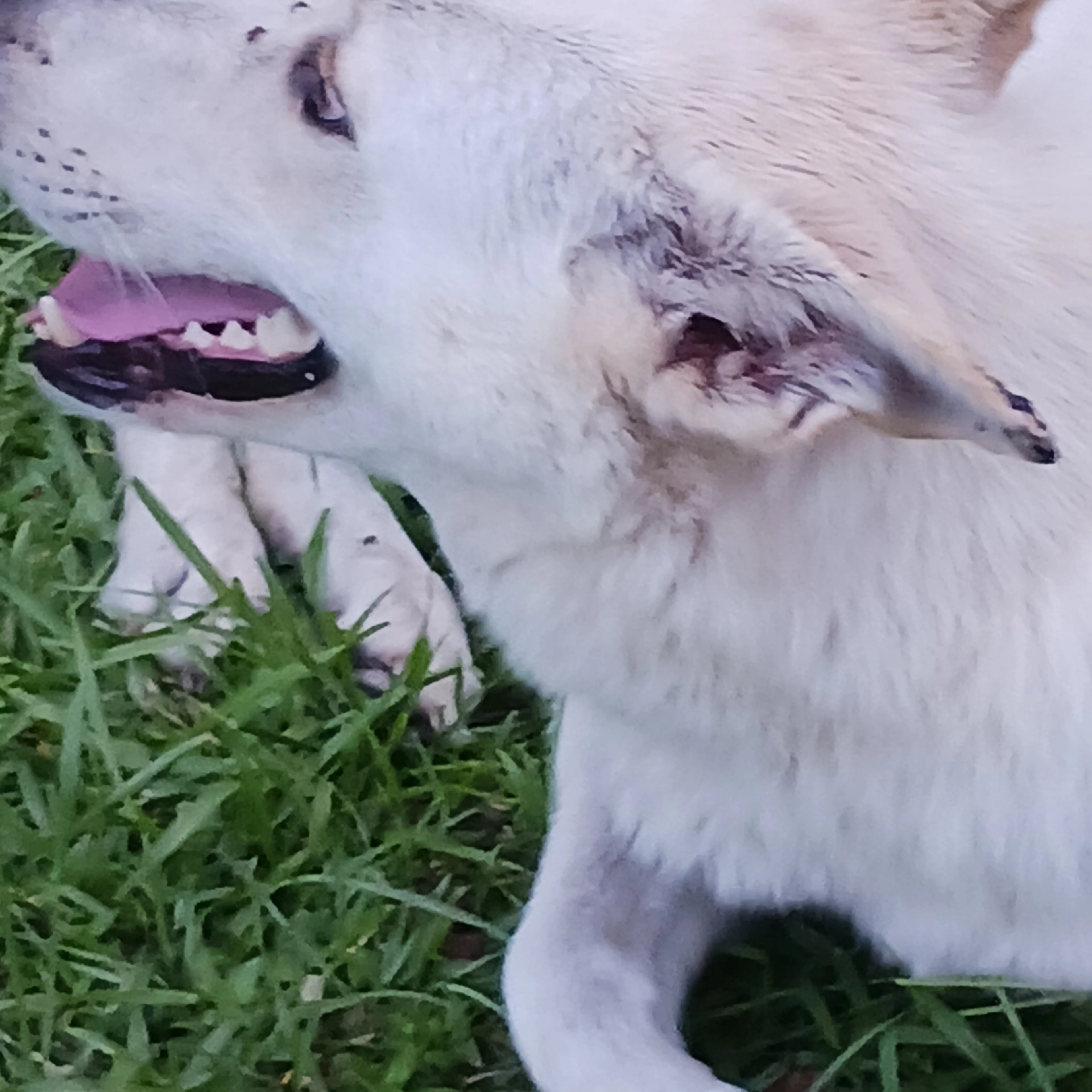 -3