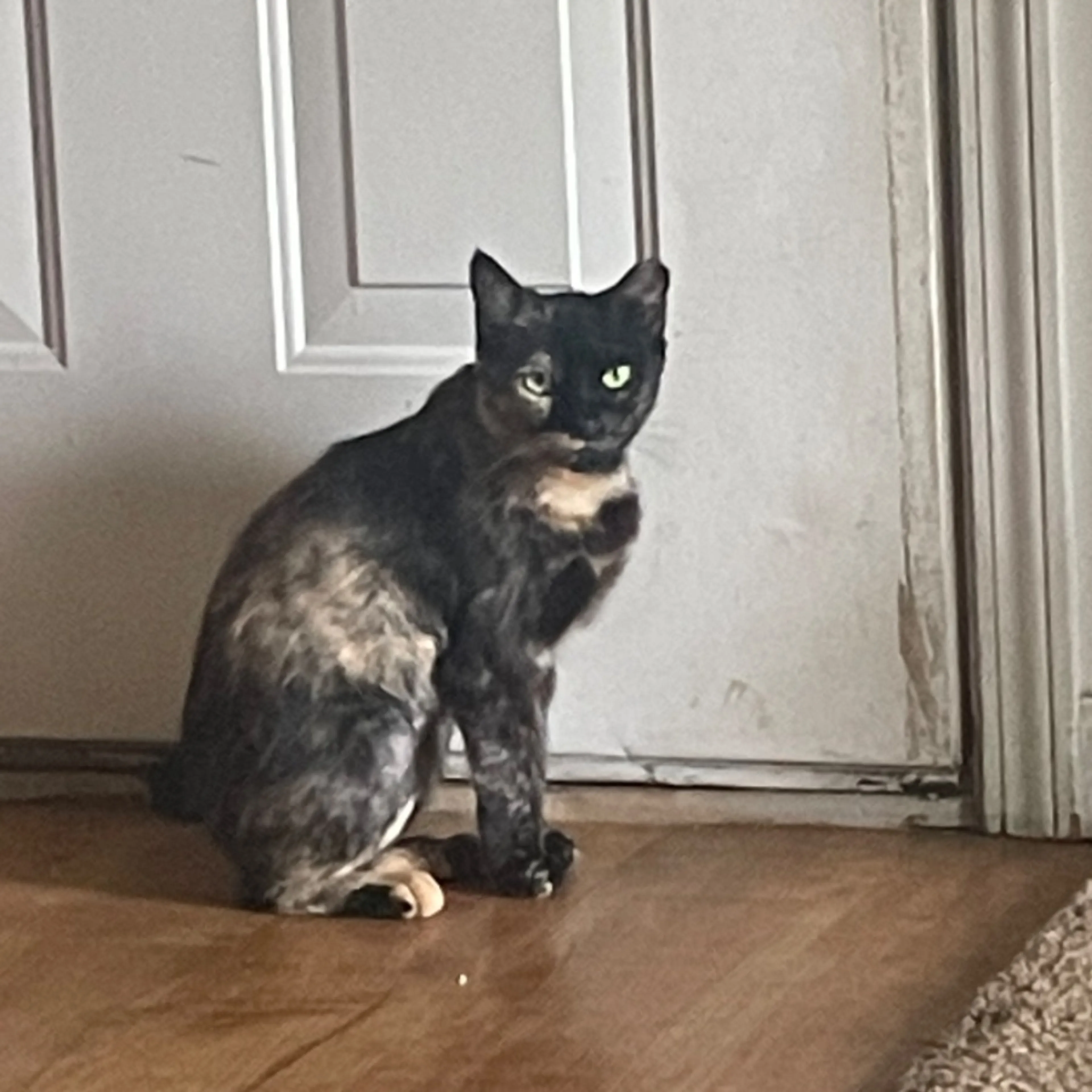 cdn image